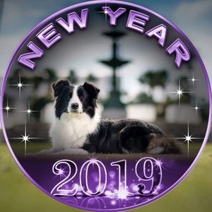 Meet your Posher, Orshi